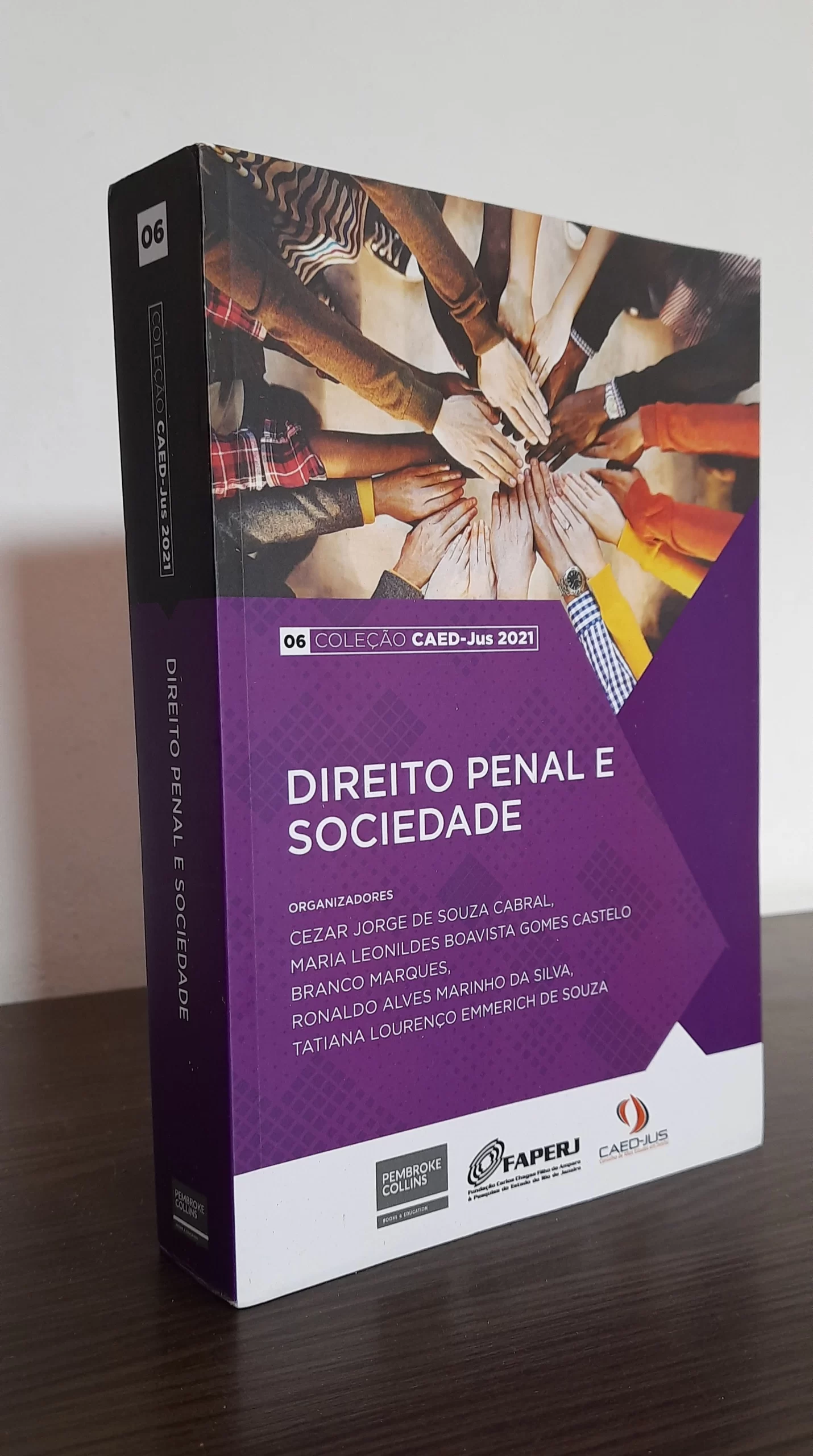 Livro Direito Penal e Sociedade